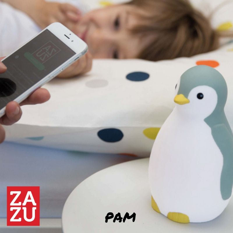 pam-asirmato-ixeio-xypnitiri-fos-nyktos-ekmathisis-pigouinos-zazu-fotistiko-polyxromo-grey-blue-light