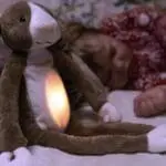 bo Λαγός vανουρίσματος με Φωτάκι Νυκτός Λευκούς Ήχους Μελωδία Ζazu 1