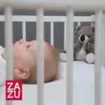 coco Κοάλα Νανουρίσματος με Χτύπους Καρδιάς και Λευκούς Ήχους zazu 2