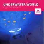 cody Κάβουρας Προβολέας με Κίνηση Ψαριών σε Κύματα Ήχοι Θάλασσας zazu 1