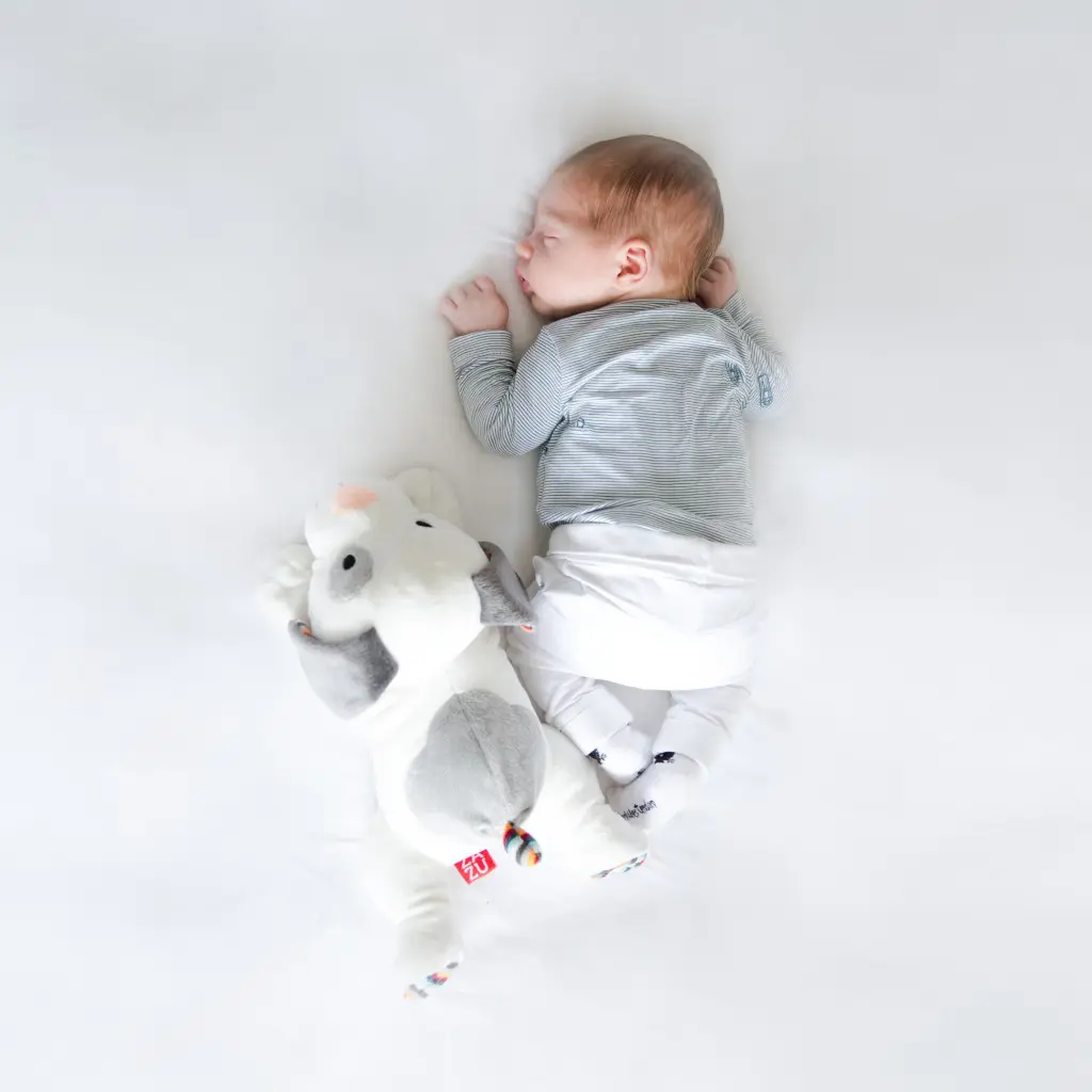 Zazu Dex - Σκυλάκι ύπνου με ήχους καρδιάς και λευκού θορύβου για ηρεμία και βαθύ ύπνο του μωρού σαςΚαρδιάς zazu kids Ντεξ 5