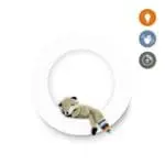 ZAZU FAY REX OTIS Φωτιστικό Νύχτας με Έλεγχο Χειρονομιών & Μαγνητικά Ζωάκια - Image 5