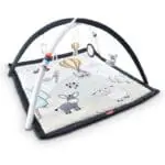 gym Βρεφικό Γυμναστήριο Χαλί Δραστηριοτήτων Φάρμα zazu 1