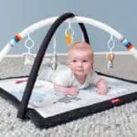 gym Βρεφικό Γυμναστήριο Χαλί Δραστηριοτήτων Φάρμα zazu 4