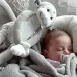 ZAZU Max Λούτρινο Μαϊμουδάκι με Φως & Μελωδίες - Image 4