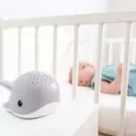 wally Φάλαινα Προτζέκτορας Ωκεανού με Λευκούς Ήχους zazu 8