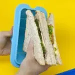 Θήκη Σάντουιτς Σιλικόνης collapsible container Τιρκουάζ marcus marcus 1