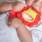 Μασητικό Οδοντοφυΐας sensory teether lion marcus marcus