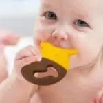 Marcus & Marcus Μασητικό Οδοντοφυΐας Καμηλοπάρδαλι Lola - Image 3