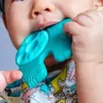 Μασητικό Οδοντοφυΐας sensory teether ollie marcus marcus