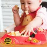 Πιάτο Σιλικόνης amusemat Κόκκινο marcus marcus 4