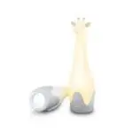 ZAZU GINA ΦΩΤΑΚΙ ΝΥΚΤΟΣ ΚΑΙ ΦΑΚΟΣ