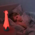 ZAZU GINA ΦΩΤΑΚΙ ΝΥΚΤΟΣ ΚΑΙ ΦΑΚΟΣ