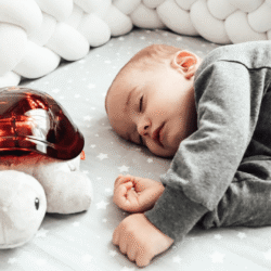 TIM ZAZU ΠΡΟΒΟΛΕΑΣ ΗΛΙΟΒΑΣΙΛΕΜΑΤΟΣ